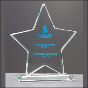 Premier Crystal Diamond Star Award
