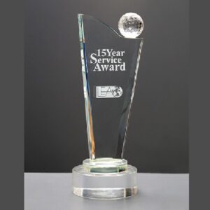 15Year Service Award