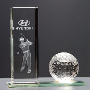 HYUNDAI AWARD