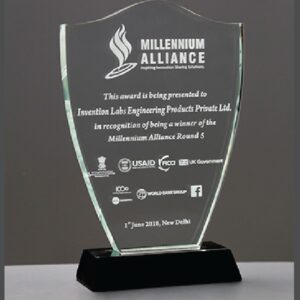 Crystal Millennium Alliance Award