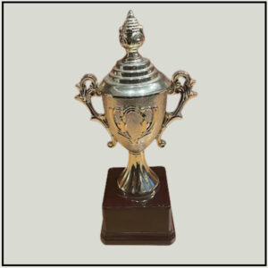 Sports Trophy