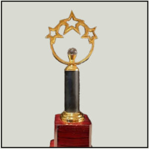 Star Performance Trophies