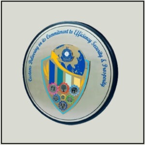 Custom Silver Medallion