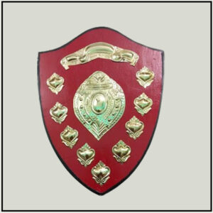 Wood Red Shield Trophy