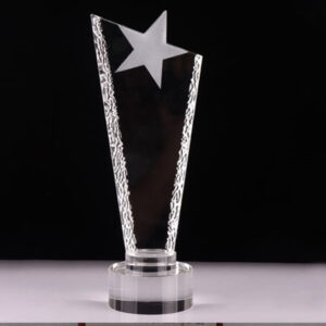 Crystal Star Award